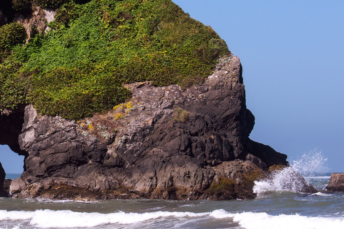 Wave breaking against a rocky outcrop covered in moss