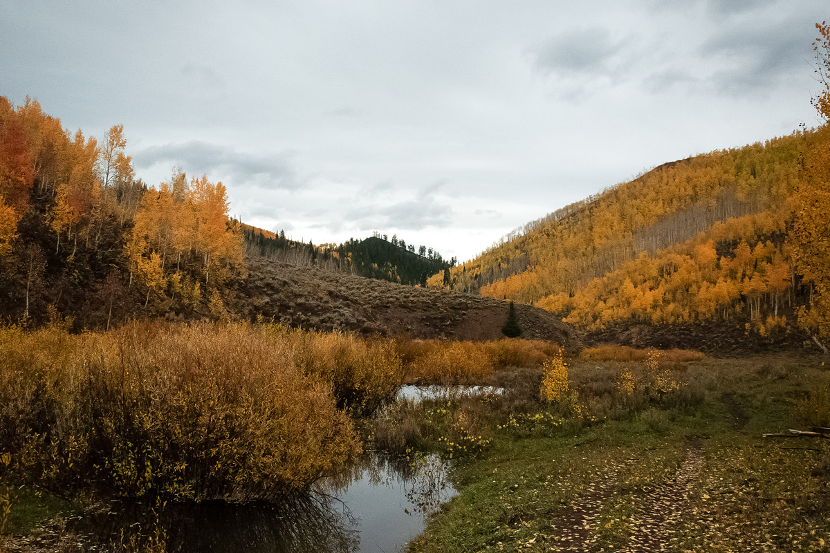 Large puddles and yellow bushes along hills